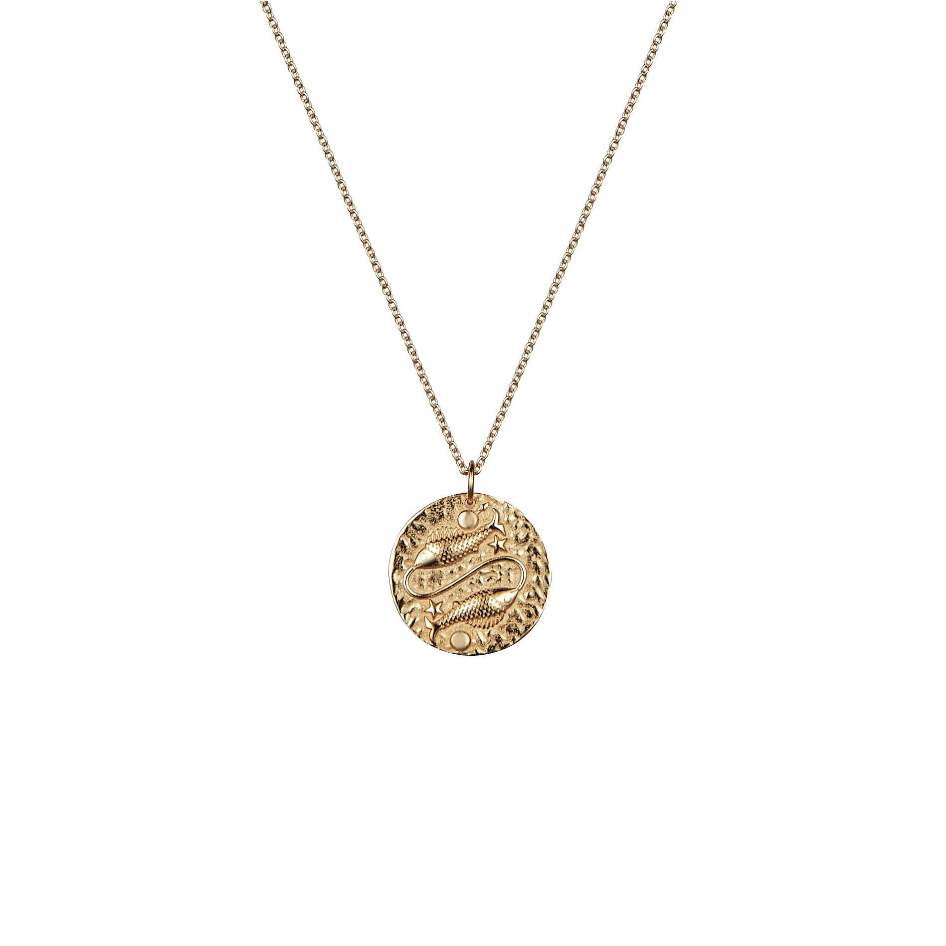 Pisces zodiac rose gold necklace