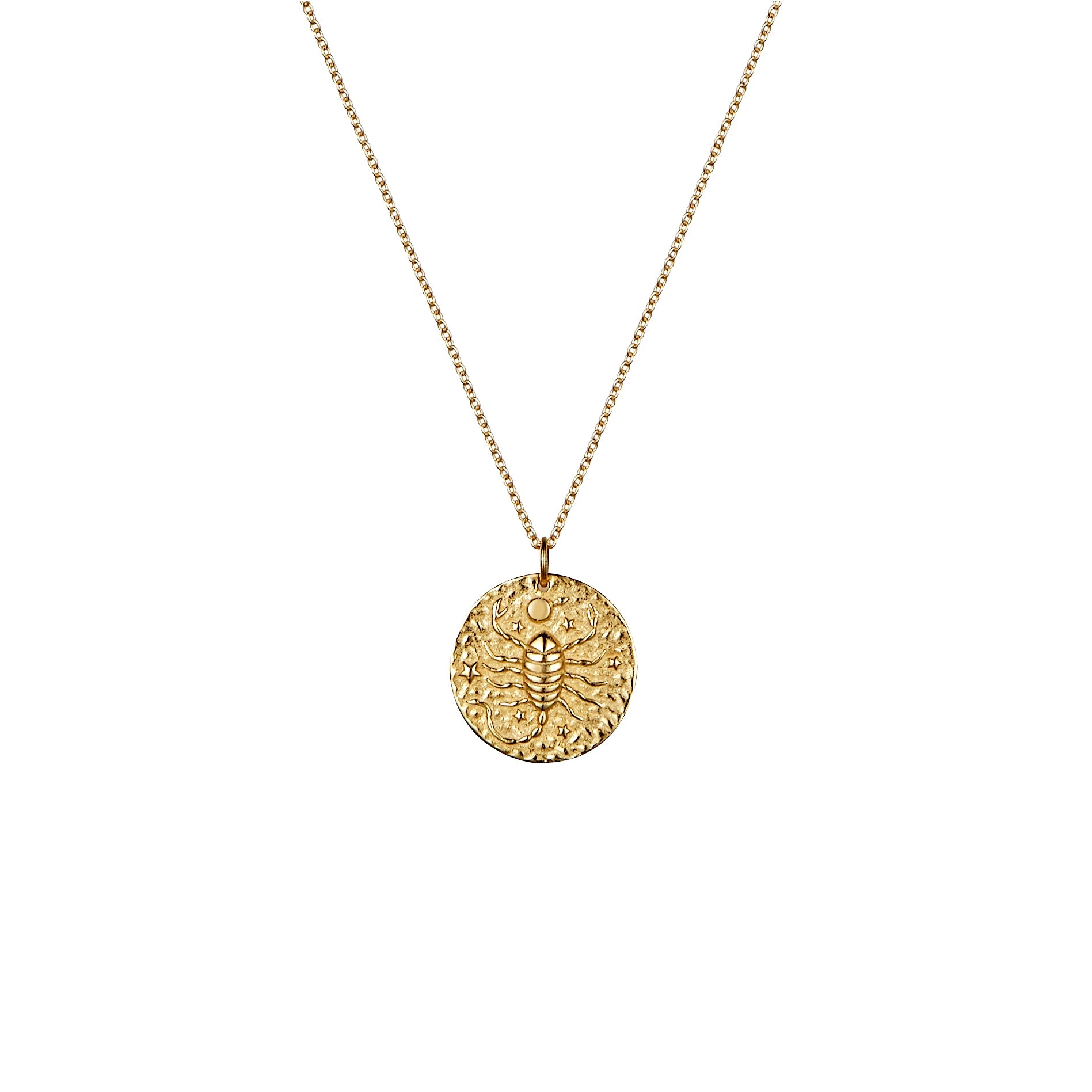 Scorpio zodiac rose gold necklace
