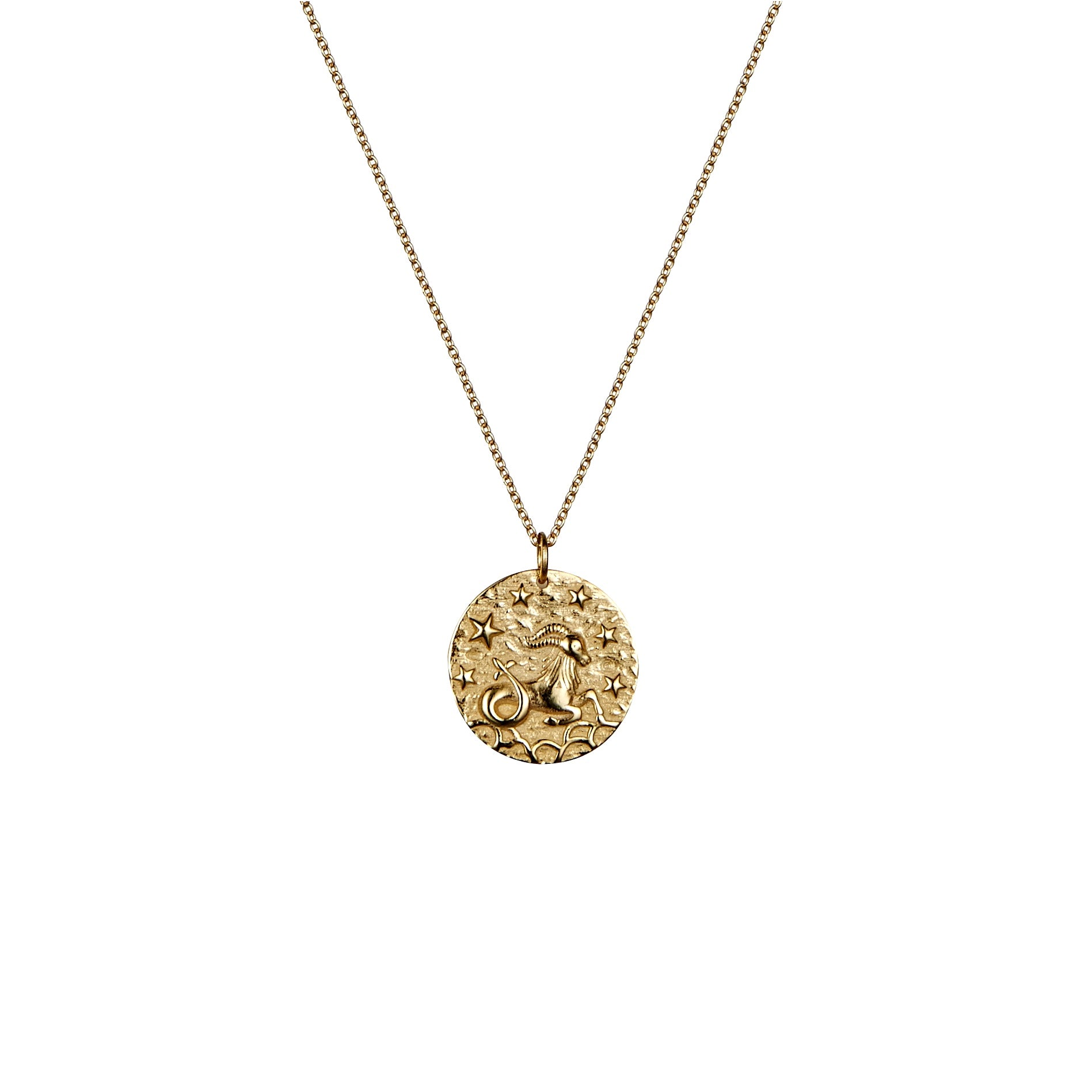 Capricorn zodiac rose gold necklace