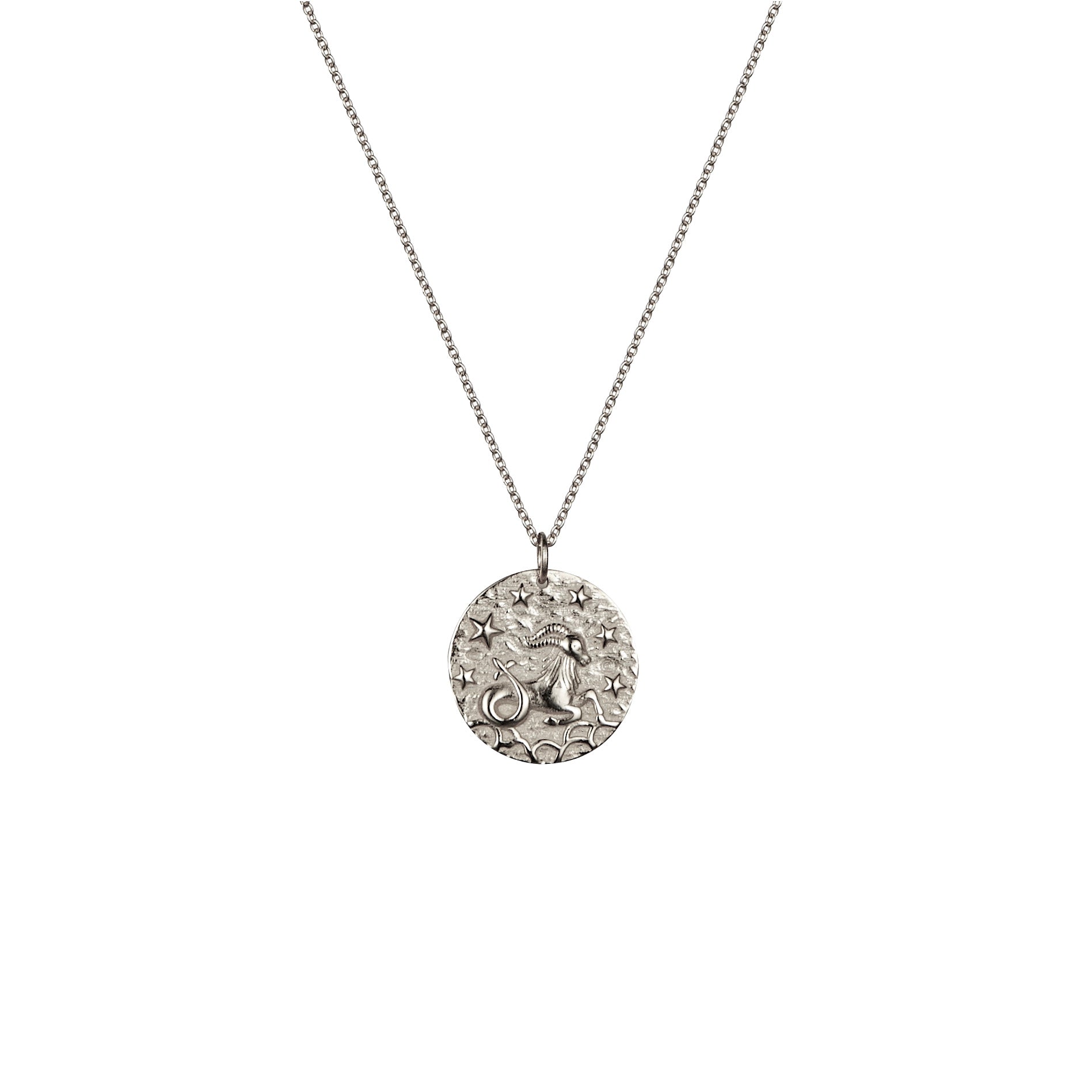 Capricorn zodiac sterling silver necklace 
